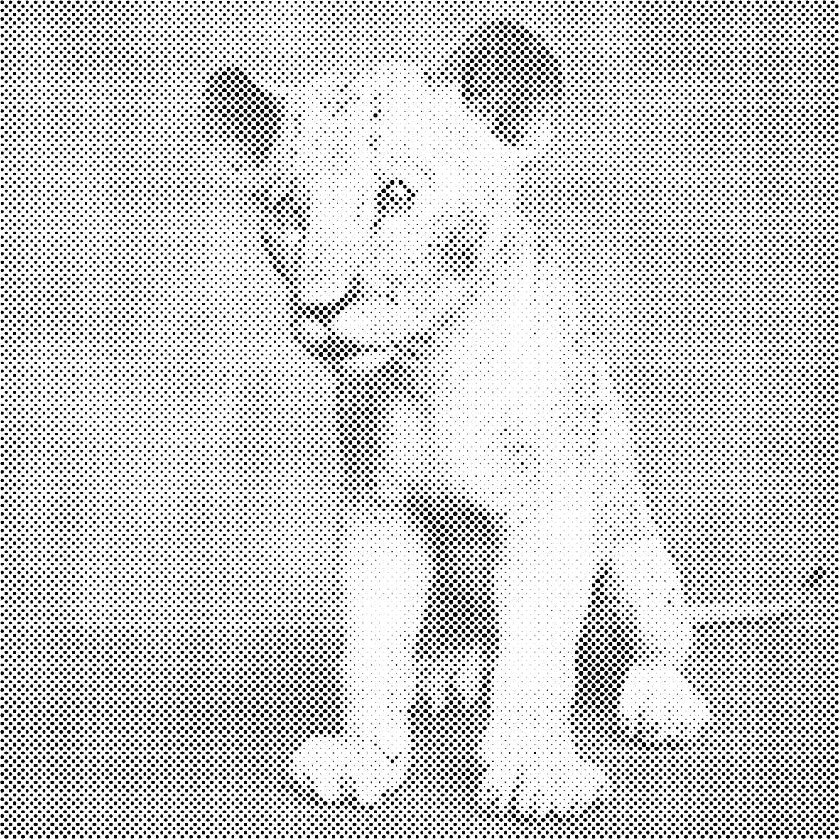 Petit Simba - Dottingo