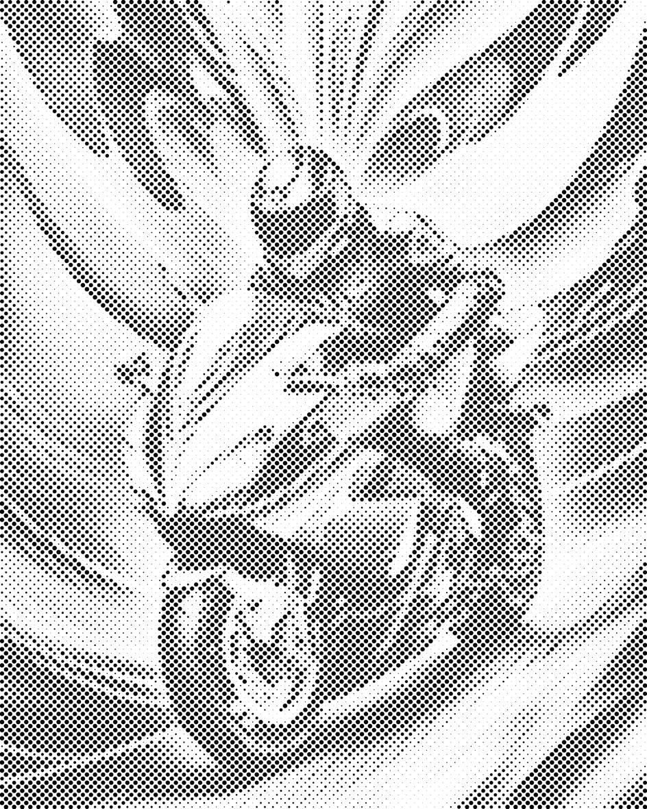 Passion moto - Dottingo