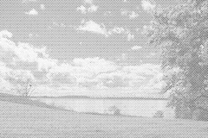 Lac dans la nature - Dottingo
