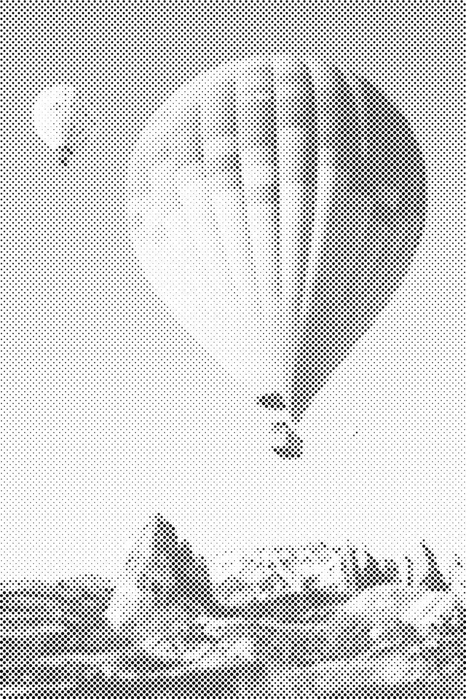 Montgolfières dans les montagnes - Dottingo