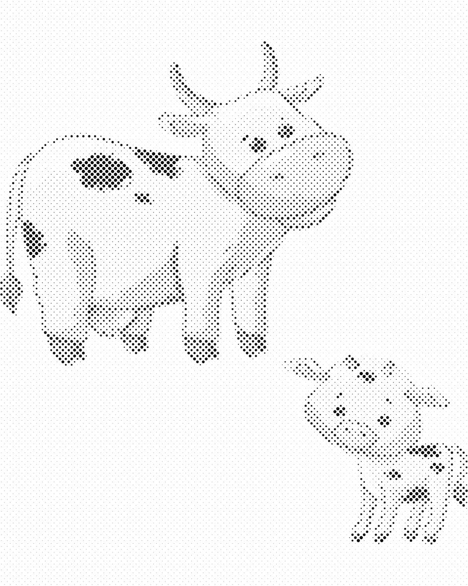 Vaches - Dottingo