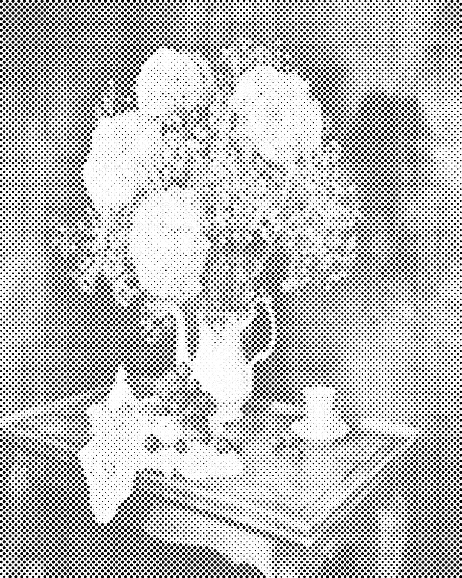 Bouquet d'hortensias - Dottingo
