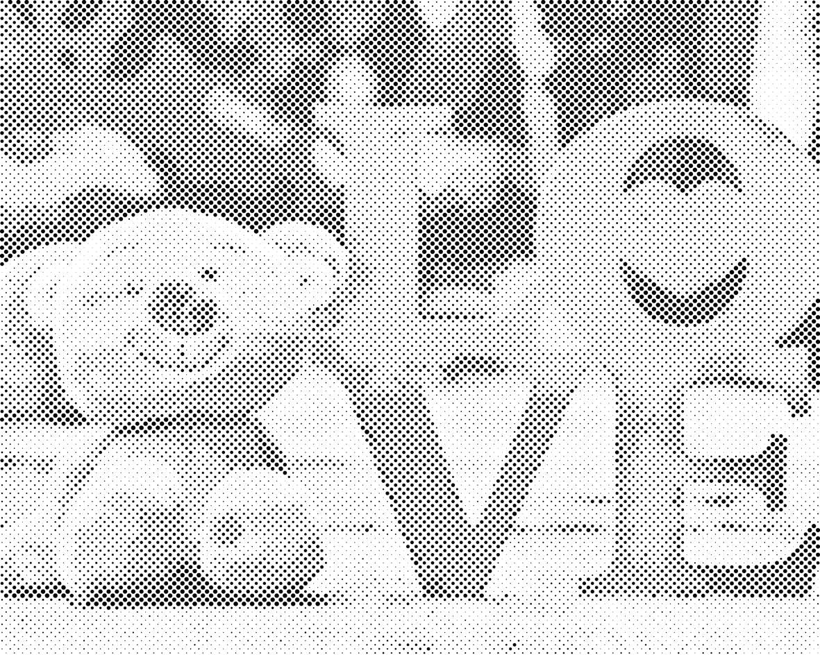 Ours en peluche - Dottingo