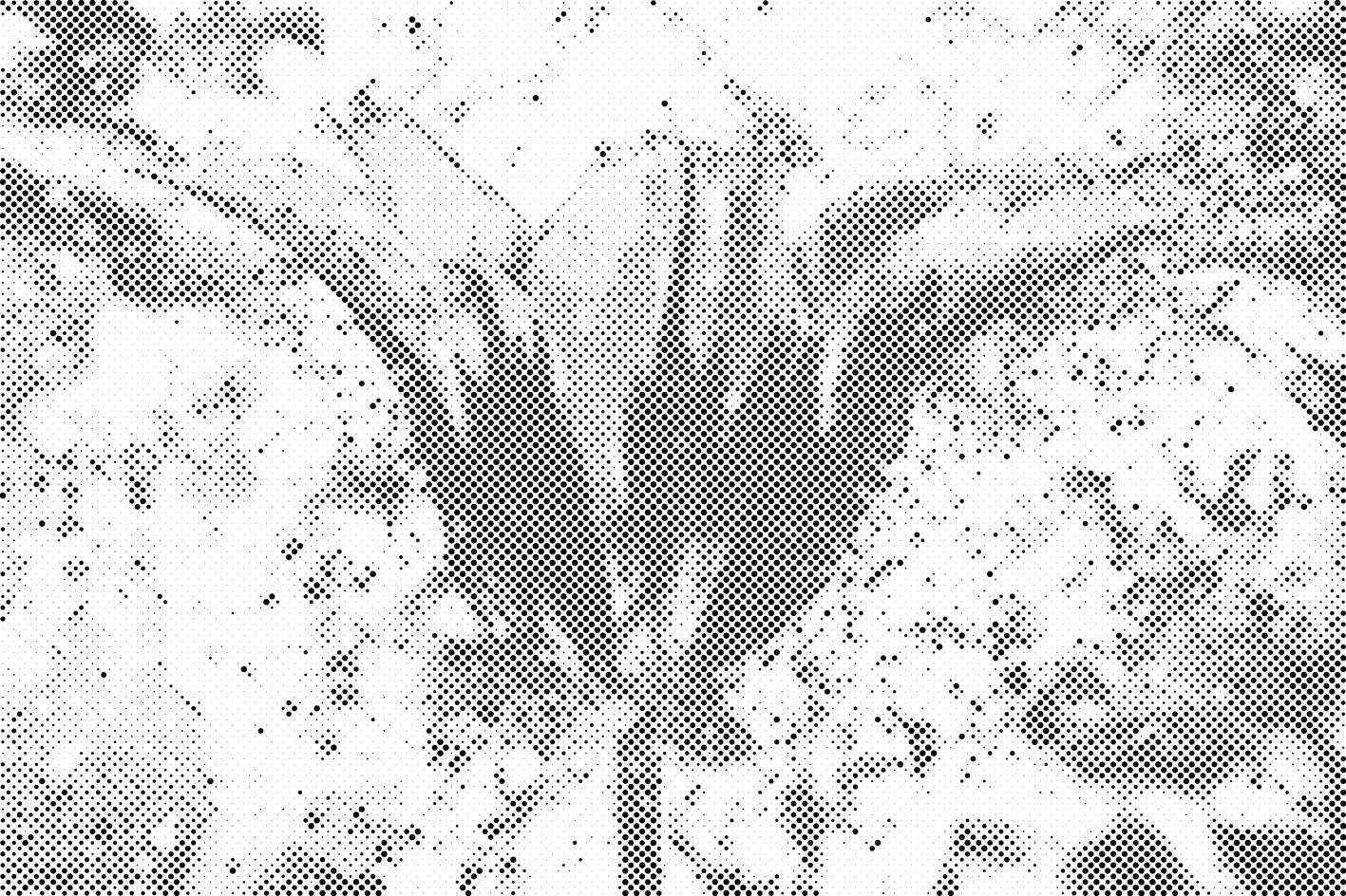 Tulipe fleurie - Dottingo