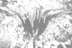 Tulipe fleurie - Dottingo