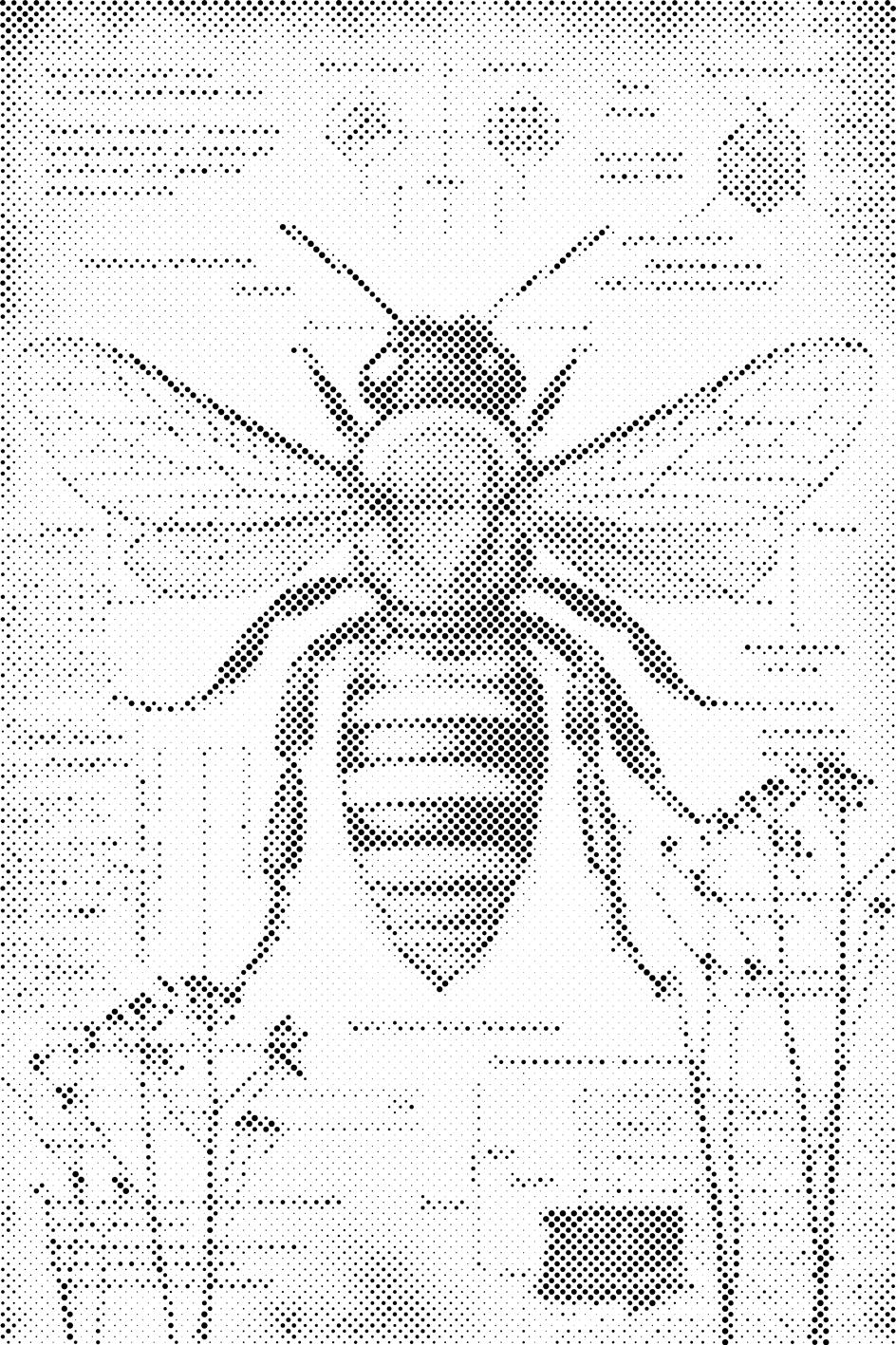 Tout sur les abeilles - Dottingo