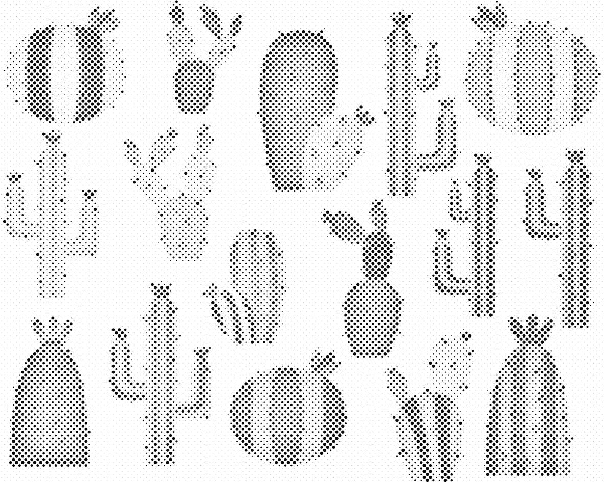 Fond de cactus - Dottingo