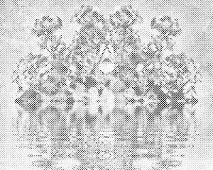 Pélargoniums sur l'eau - Dottingo