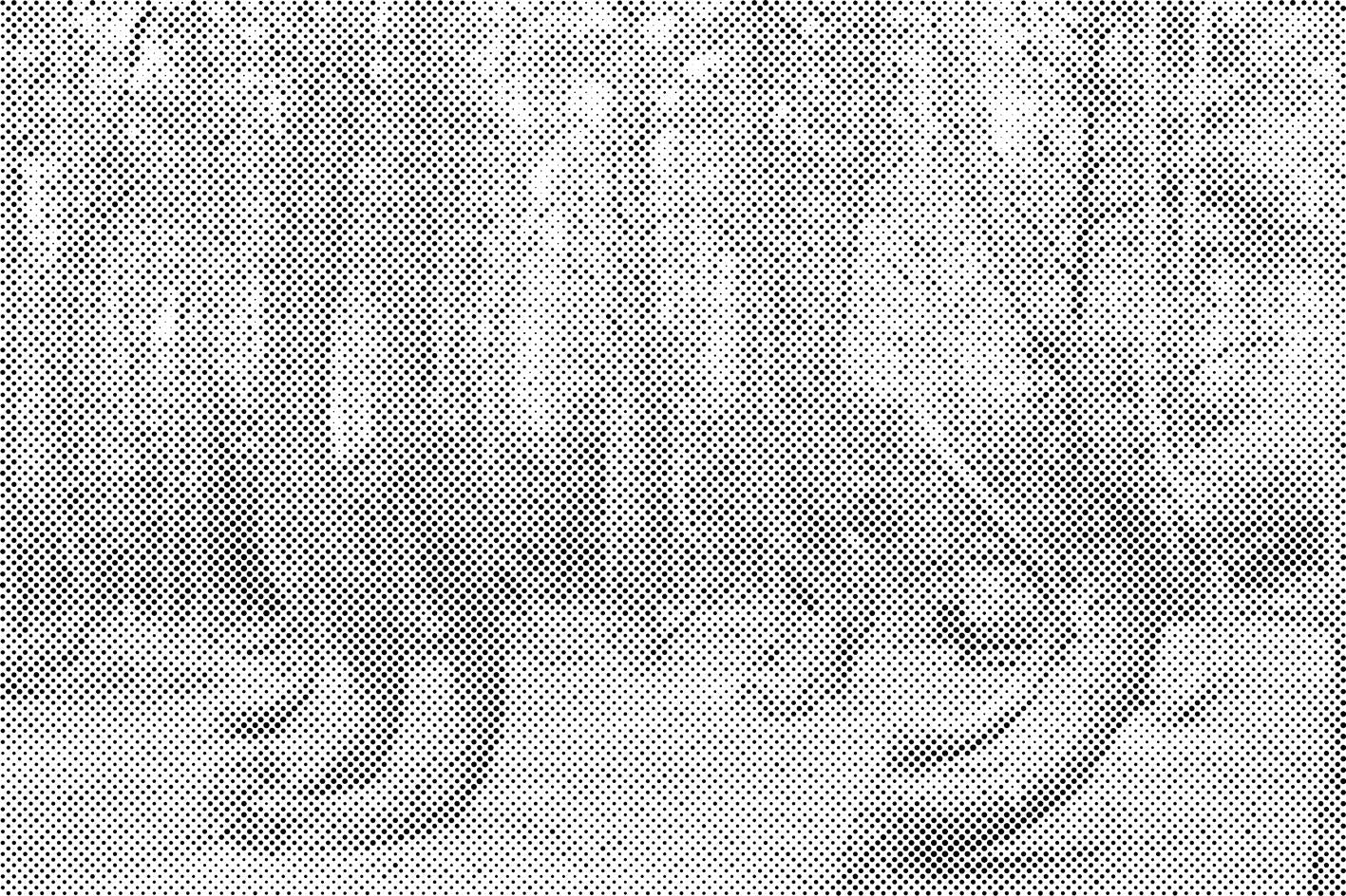 Forêt tordue en Pologne - Dottingo