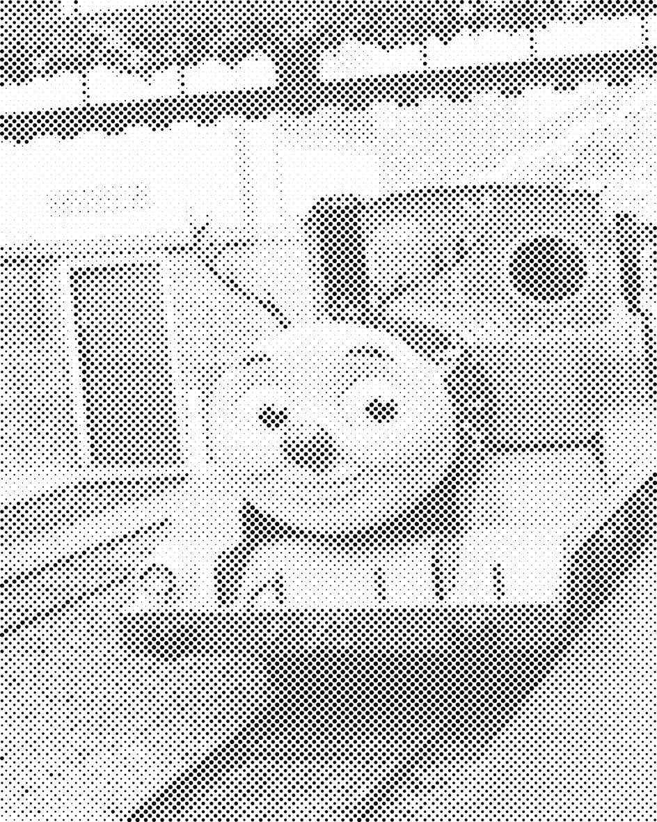 Thomas et ses amis - Dottingo