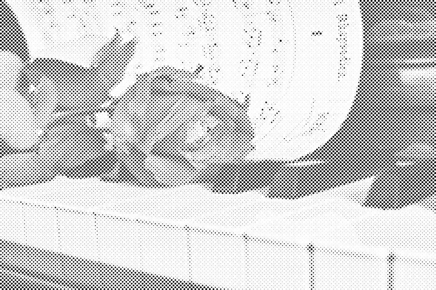 Roses sur un piano - Dottingo