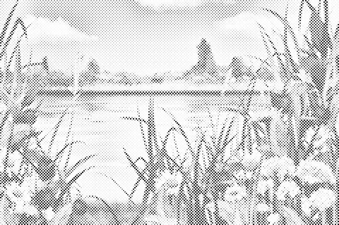 Jardin d'été - Dottingo